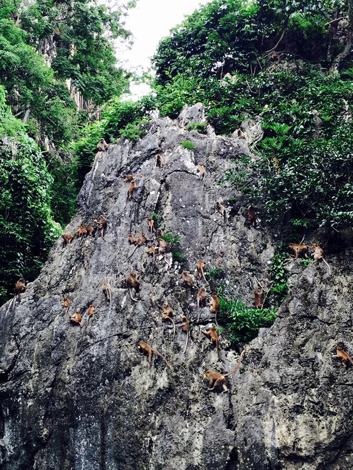 13781655_10210453242273888_3652631494068223140_n